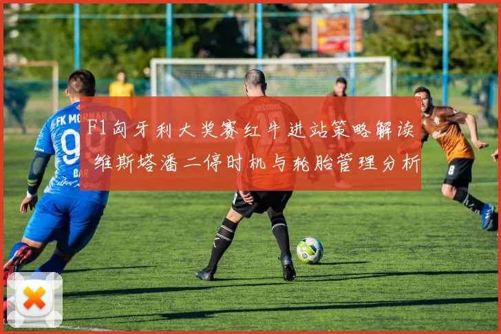 F1匈牙利大奖赛红牛进站策略解读 维斯塔潘二停时机与轮胎管理分析